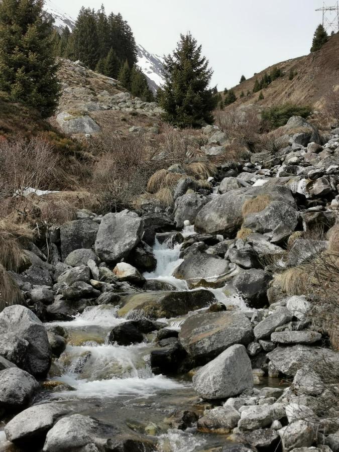 Апартаменти Tgesa Dutg Grond Седрун Екстер'єр фото